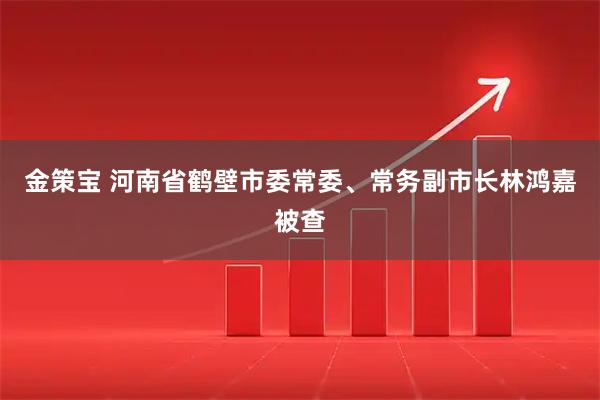 金策宝 河南省鹤壁市委常委、常务副市长林鸿嘉被查