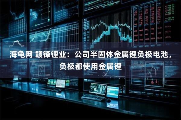 海龟网 赣锋锂业：公司半固体金属锂负极电池，负极都使用金属锂