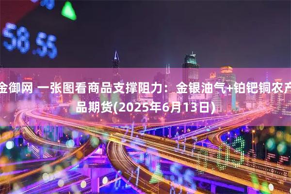 金御网 一张图看商品支撑阻力：金银油气+铂钯铜农产品期货(2025年6月13日)