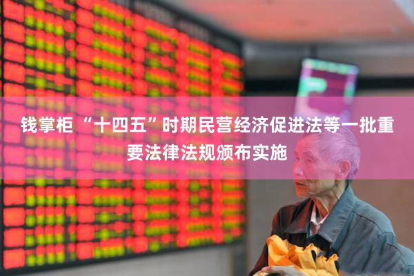 钱掌柜 “十四五”时期民营经济促进法等一批重要法律法规颁布实施